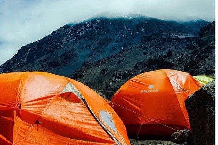 8-Day Mount Kilimanjaro Trekking Tour Lemosho Route