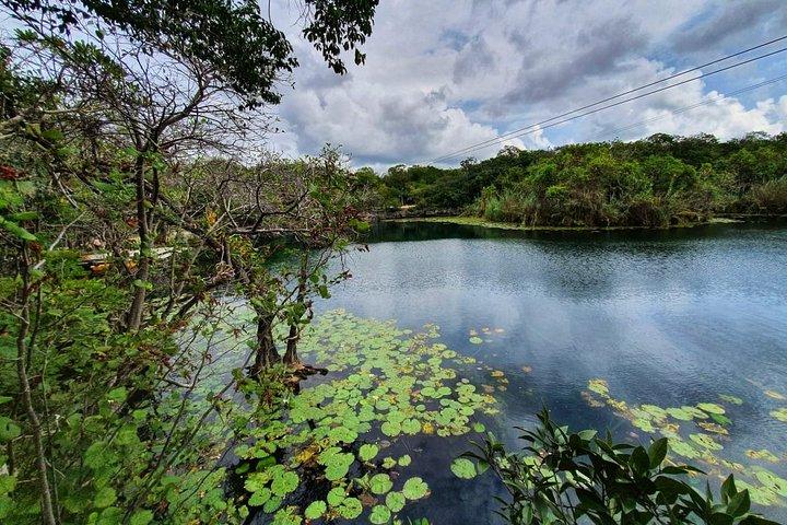 Private - Tulum Ruins and 3 Cenotes Jungle Adventure