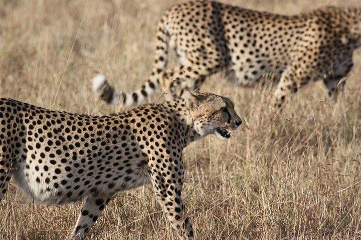 3 DAYS LAKE NAKURU-HELL'S GATE (Cost Based on Minimum 2 persons)