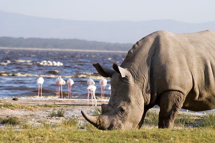 3 DAYS LAKE NAKURU-HELL'S GATE (Cost Based on Minimum 2 persons)