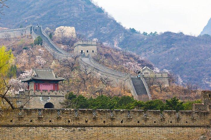 Tianjin Shore Excursion: Huangyaguan Great Wall Private Day Tour