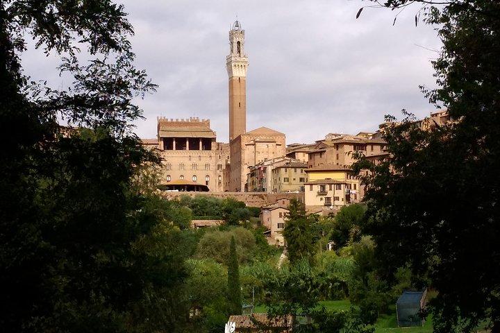 Secret Siena Walking Tour