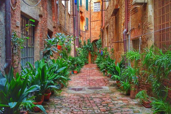 Secret Siena Walking Tour