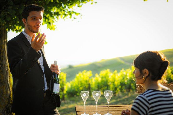 Excursion to the Champagne region and Wine Tasting