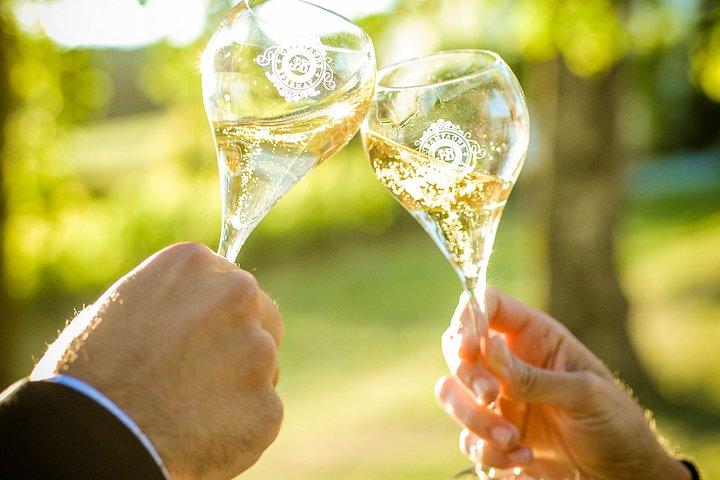 Excursion to the Champagne region and Wine Tasting
