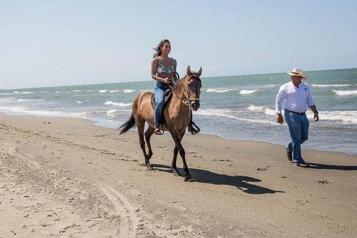 Horseback Riding Tour in Beach of Cartagena