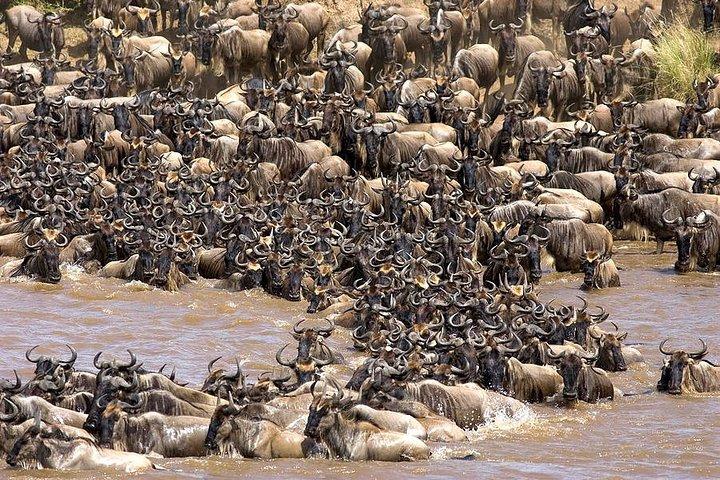 Majestic Tanzania: 10-Day Luxury Safari Adventure