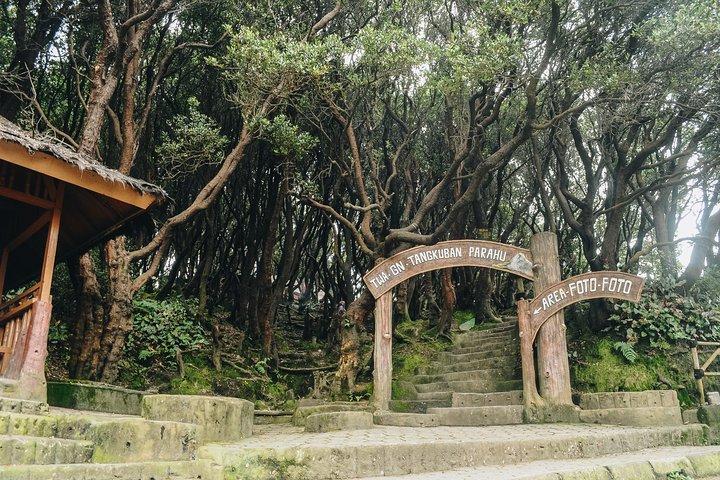Full-Day Trip to North Bandung