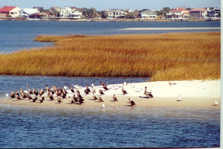 Take a Scenic Boat Ride in St. Augustine