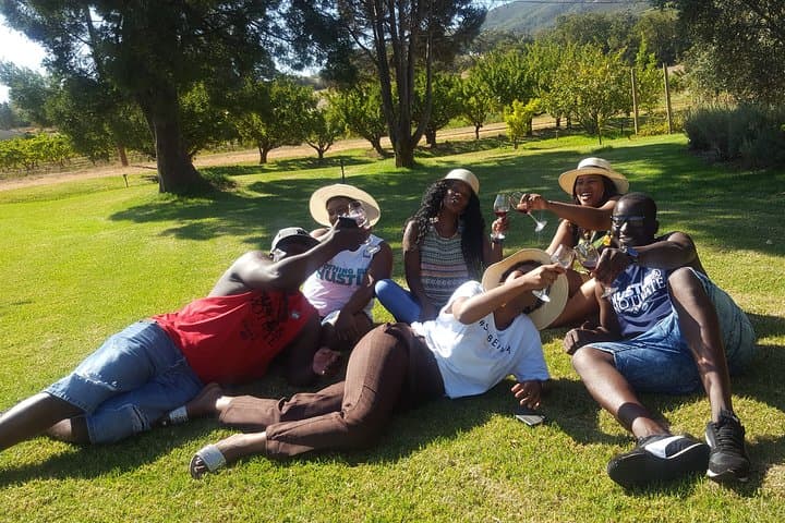 Wine Tasting Tour Of Stellenbosch & Franschoek Including Lunch