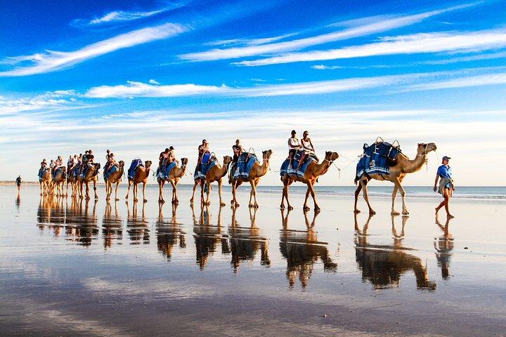 1 Hour Broome Sunset Camel Tour