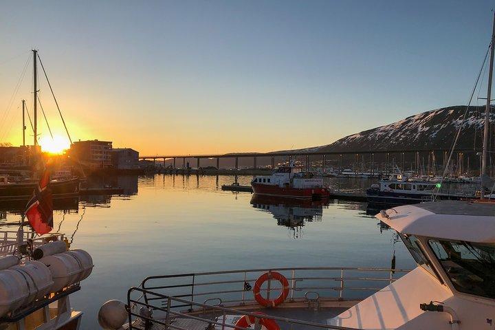 Tromsø: Summer Evening Cruise with Activities