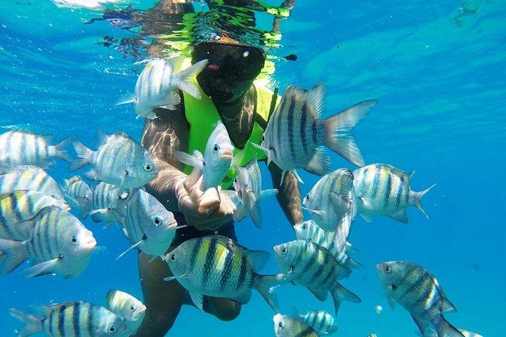 Puerto Plata Shore Excursion, Snorkeling tour & Sosua Beach Day