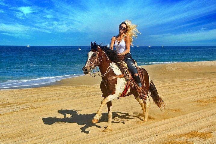 Cabo San Lucas Horseback Ride on Beach and Desert