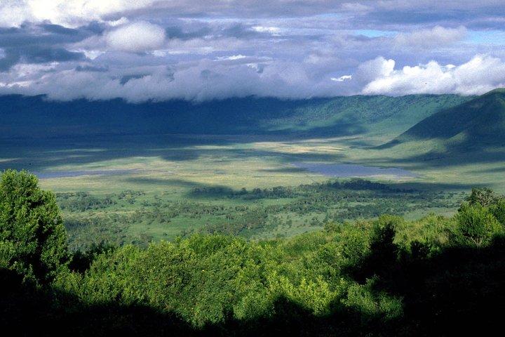 3 Days 2 Nights Serengeti, Ngorongoro & Tarangire Wildlife Lodge Safari