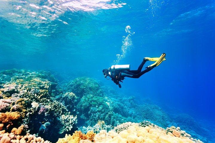 Antalya Scuba Diving at Mediterranean Sea incl. Lunch