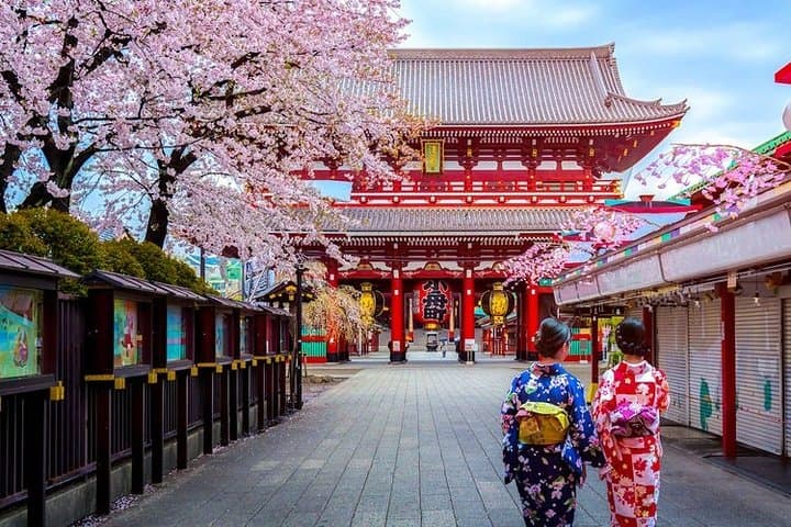 Airport Transfer: Tokyo City to Narita Airport NRT by Luxury Van