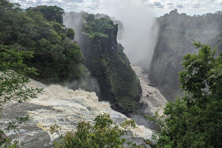 Victoria Falls: Private Guided Tour of the Falls