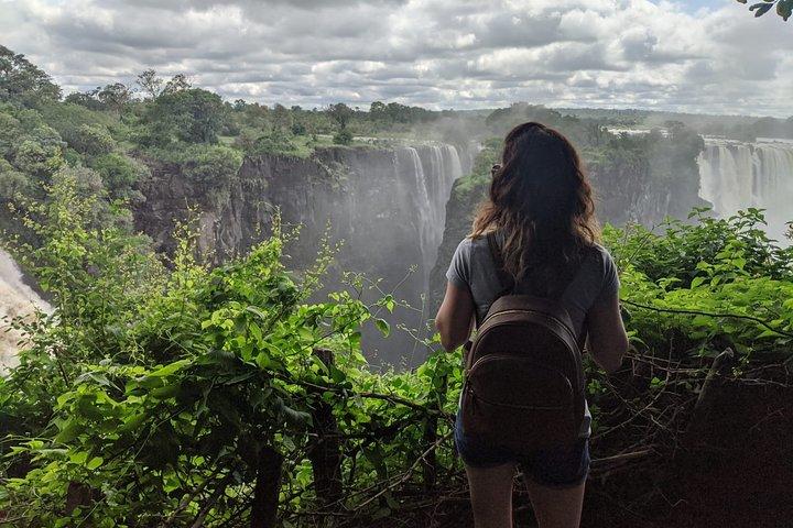 Victoria Falls: Private Guided Tour of the Falls