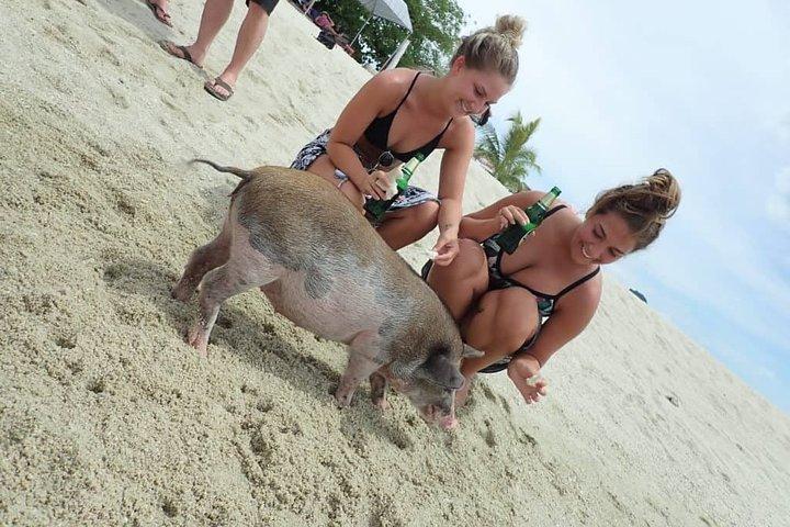 Snorkeling & Kayaking Trip at Koh Madsum and Koh Tan By Speedboat From Koh Samui