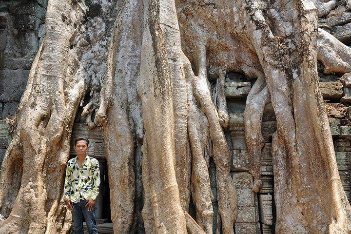 Private Tuk Tuk Tour to Angkor Wat and Small Circle with Two Extras