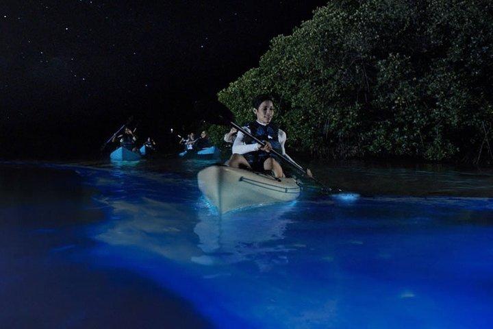 Bioluminescent Kayak Tour by THE #1 Rated Company in Cocoa Beach