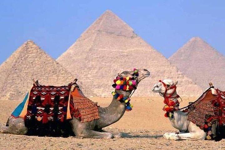 4-Hour Private Guided Trip to Giza Pyramids and Sphinx from Cairo