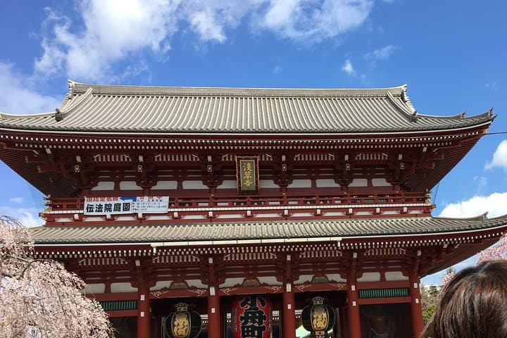 Private Tokyo Cherry Blossom Tour – Custom Sakura Viewing Spots