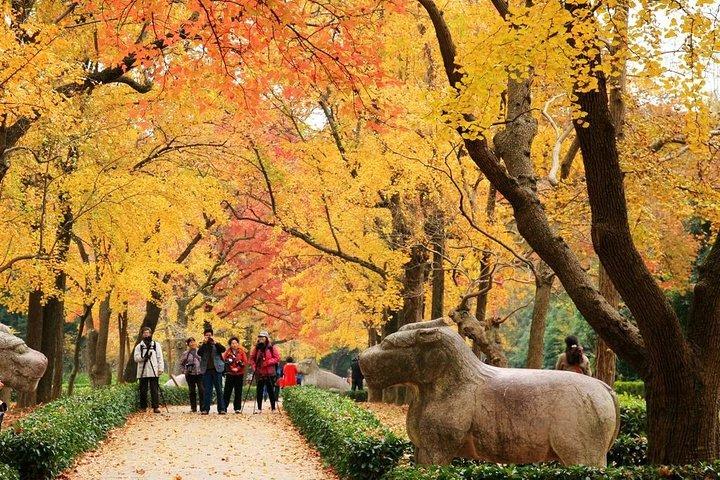 Private Amazing Nanjing City Day Tour in Your Way
