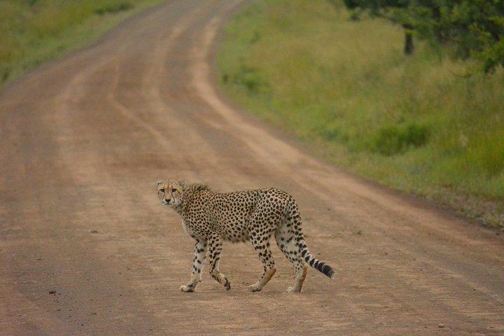 2 Days Tanzania Safari Special Offer: Sharing Group to Arusha N.P