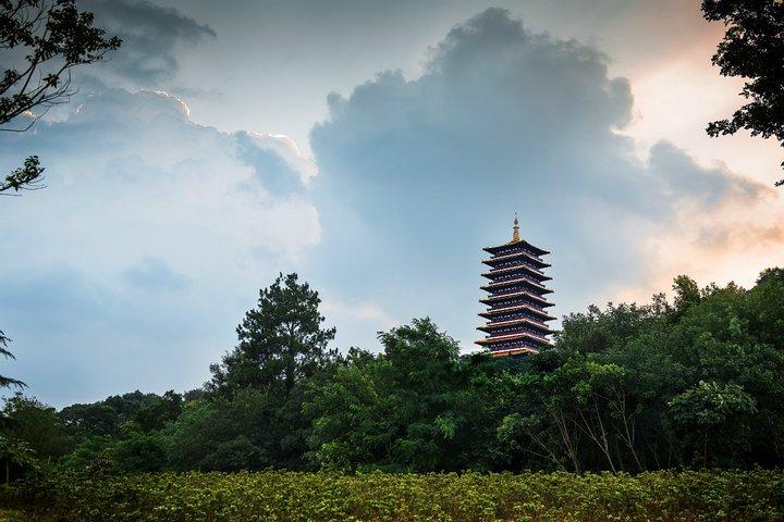 Private Day Tour to Niushoushan Cultural Park in Nanjing