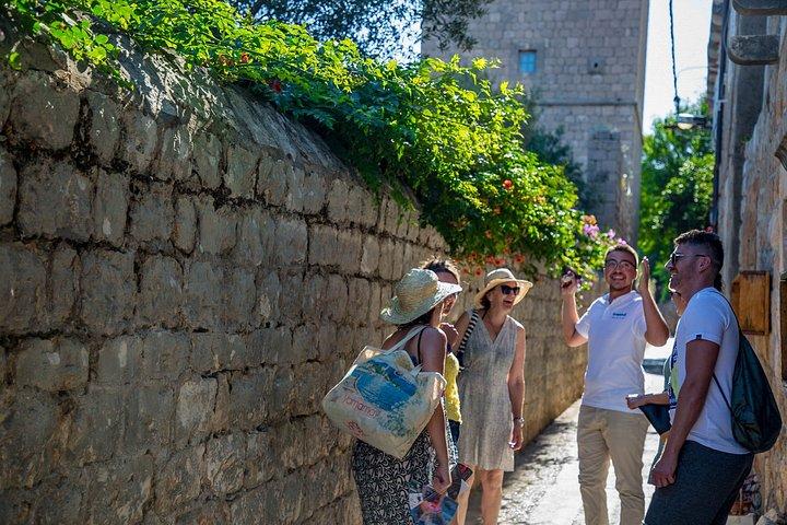 Hidden Gems Odyssey: Private Elaphiti Islands & Blue Cave Tour