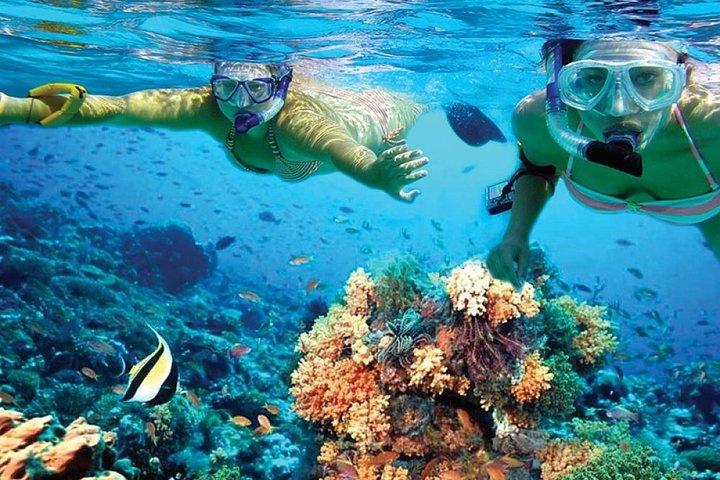 Catamaran Tour from Cancun to Isla Mujeres
