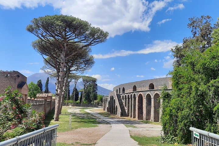 Best of Pompeii - 2 hour Private Tour with Alex