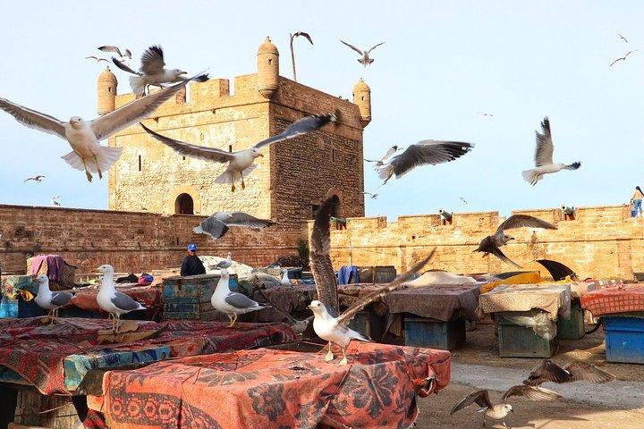 Day tour from Marrakech to Atlantic Ocean and Essaouira Mogador