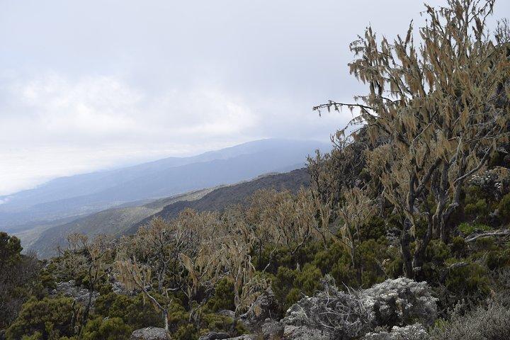 Mt. Kilimanjaro 6 Days Trek - Marangu Route