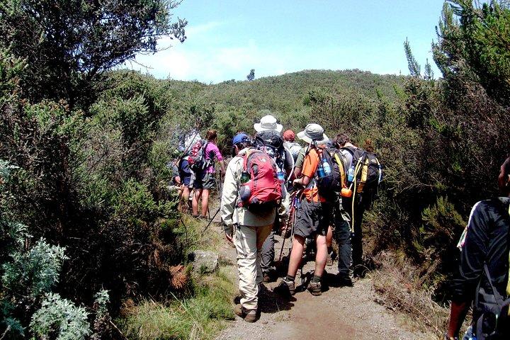 Mt. Kilimanjaro 6 Days Trek - Marangu Route