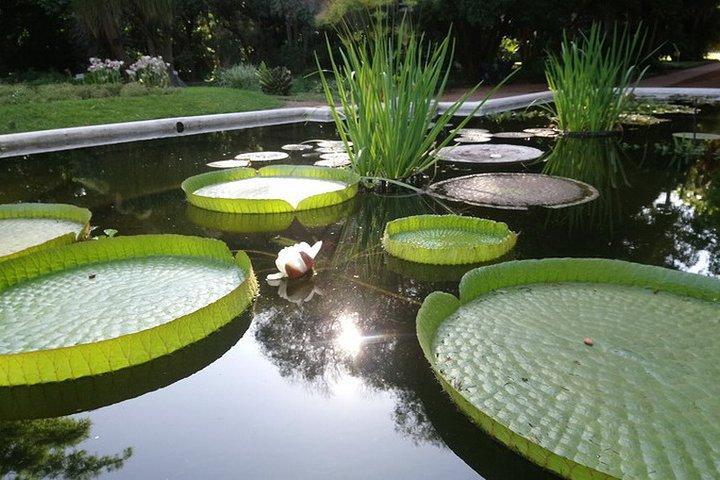 Buenos Aires Private Tour Discovering Palermo, The Japanese & Botanical Gardens