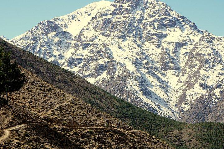 Atlas Mountains and Agafay Desert 4x4 Safari