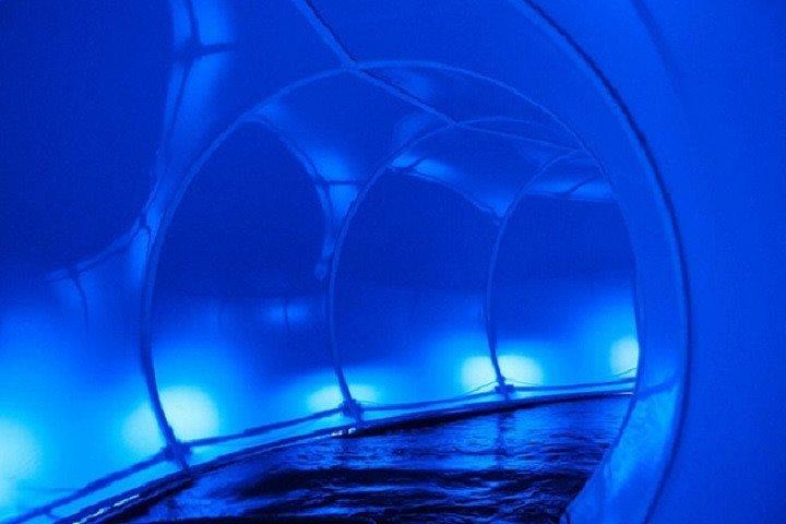 Maropeng, Cradle of Humankind & Sterkfontein Caves trip from Johannesburg