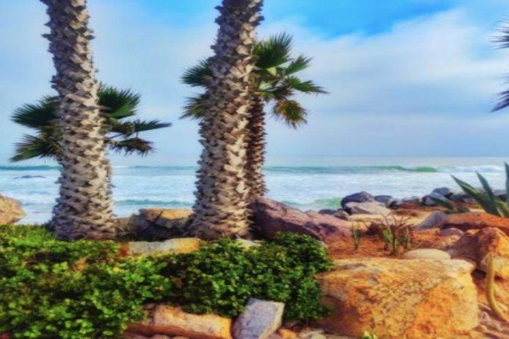 Ensenada Shore Excursion: City Tour & La Bufadora