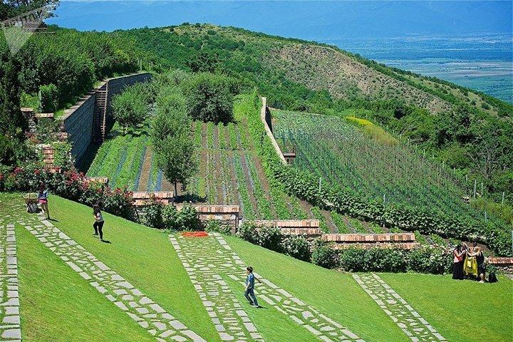 Kakheti: Signagi, Bodbe Monastery, Telavi, Wine Tour. Private tour