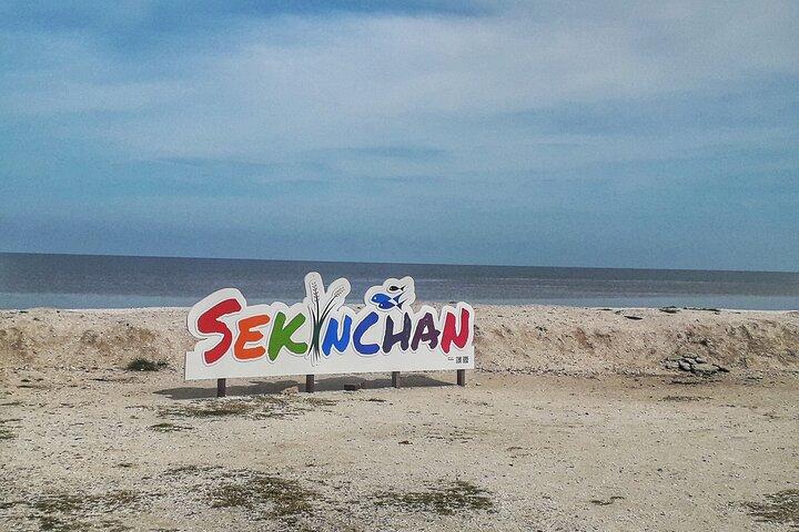 Paddy Field, Fishing Village Sekinchan DAY Tour Lunch (SIC-Shared/Join In Tour)