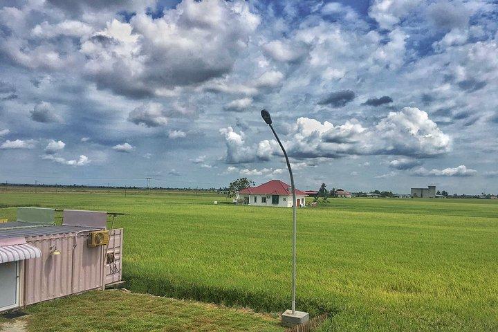 Paddy Field, Fishing Village Sekinchan DAY Tour Lunch (SIC-Shared/Join In Tour)