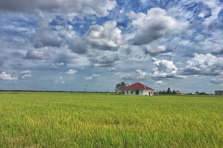 Paddy Field, Fishing Village Sekinchan DAY Tour Lunch (SIC-Shared/Join In Tour)
