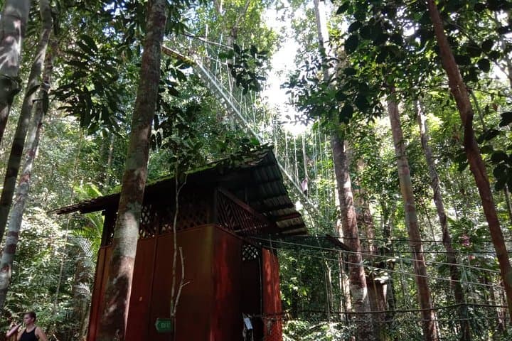 Taman Negara National Park Trekking Day Tour (SIC - Join In Tour)