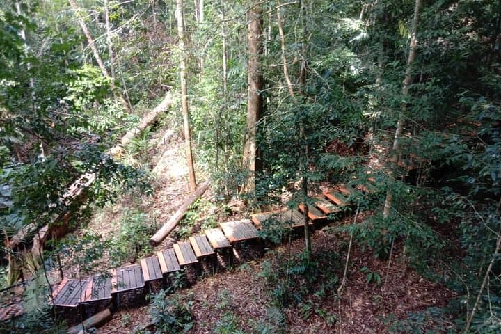 Taman Negara National Park Trekking Day Tour (SIC - Join In Tour)