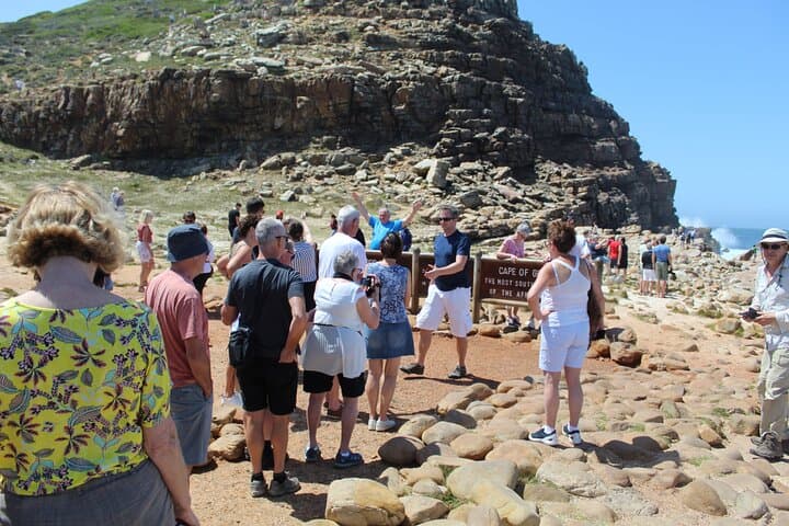 Cape of Good Hope Penguins From Cape Town Excl Entry Fees Tour