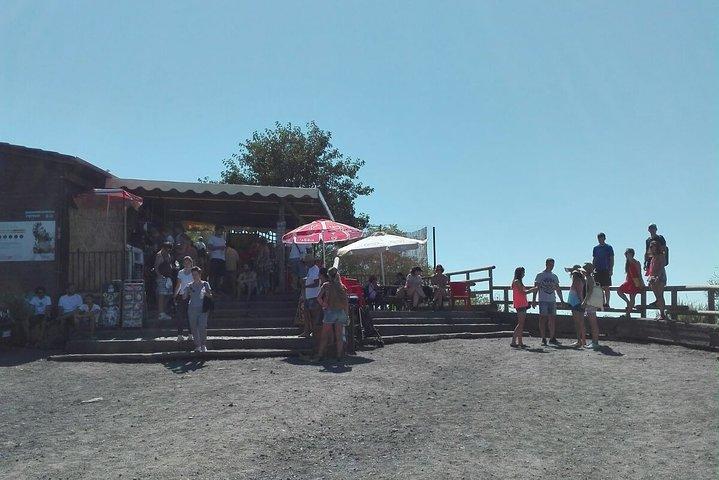 Pompeii SkipTheLine and Mt Vesuvius with Lunch&WineTasting from Rome