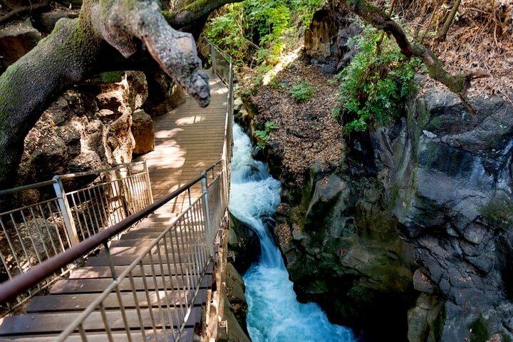 2-Day Northern Israel Tour from Jerusalem: Golan Heights, Nazareth and the Sea of Galilee